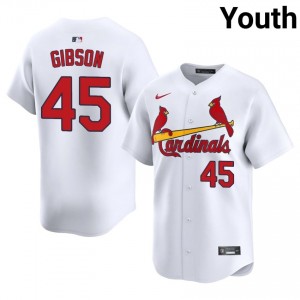 Youth Bob Gibson #45 White Embroidery Jersey | Cards Exclusive Baseball Gear 56149859